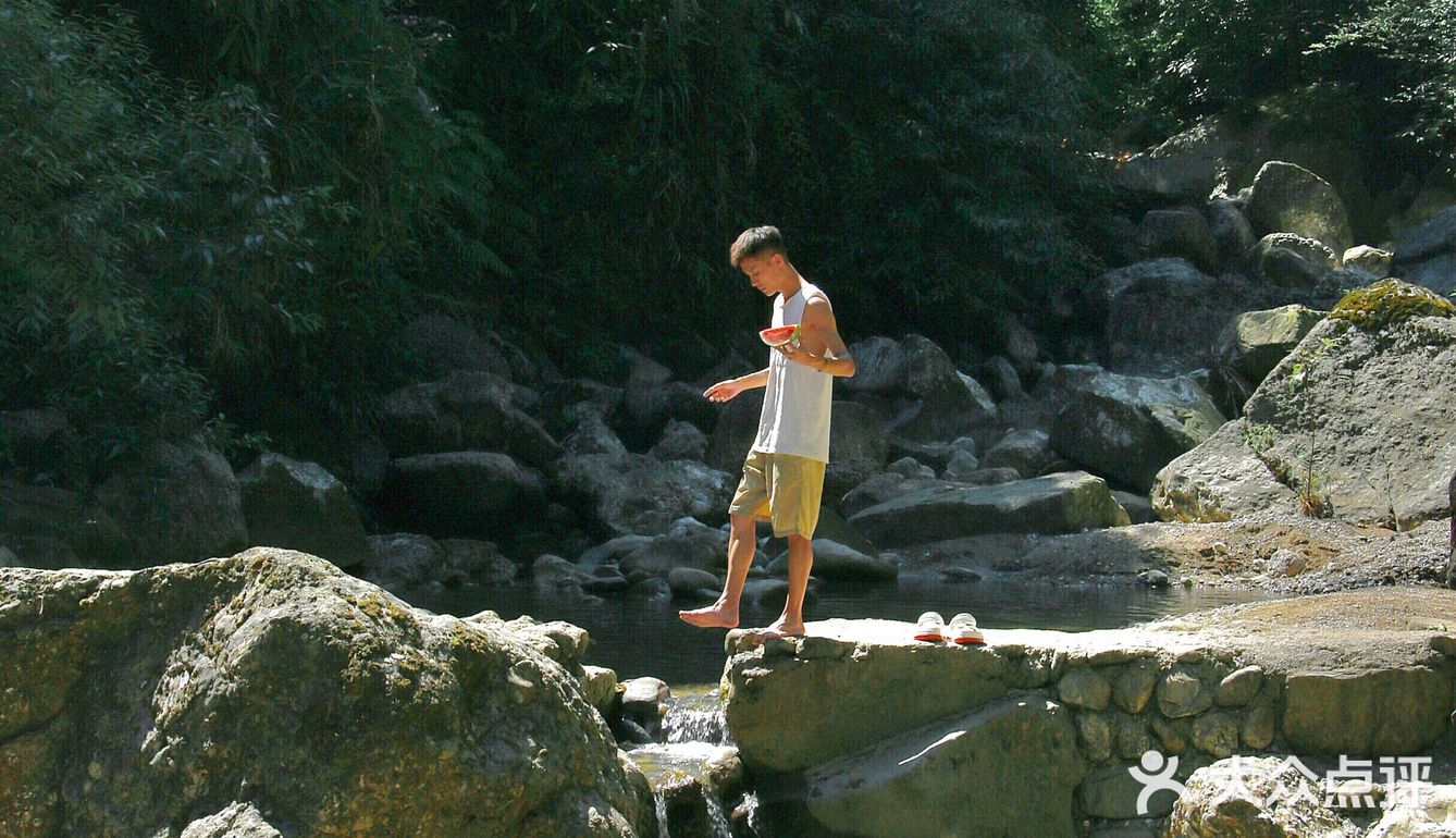 去山里避暑乘凉带狗子们闯入宫崎骏的治愈夏天