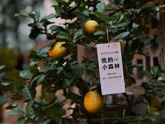 -嘁嘁茶泡饭