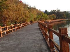 -西昌邛海湿地-月亮湾景区