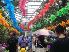 -石燕湖生态旅游景区