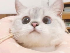-项记面馆(明瓦廊店)