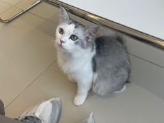 -怪兽屋·羊驼·猫咖·狗咖(俊华广场店)