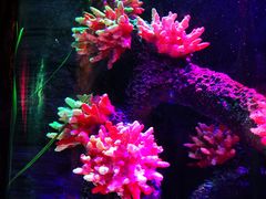 -沈阳海洋探索中心