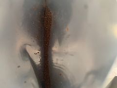 -CoffeeVendor(西乡店)