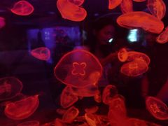 -多彩贵州城极地海洋世界