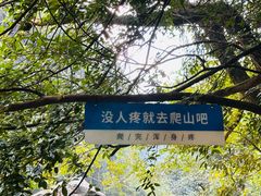 -石台牯牛降景区