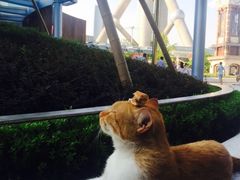 -海关大楼(陆家嘴街道)