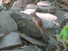 -帽儿山国家森林公园