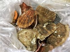 -京秀缘蒸汽海鲜农家菜大馅蒸饺