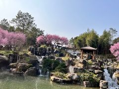 -秀丽东方