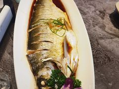 -老周家酱卤猪蹄私房菜(克拉玛依西街店)