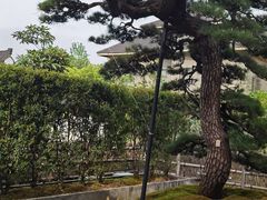 -新荣记(西溪湿地店)