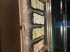 VIE全天候餐厅-上海东方佘山翰悦阁酒店·Vie全日制餐厅