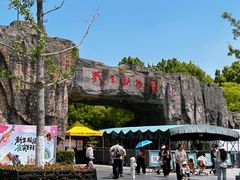 -合肥野生动物园