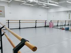 -中央芭蕾舞团·中芭艺蕾(酒仙桥明星校区)