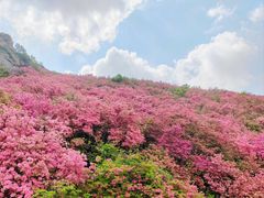 -木兰云雾山