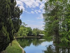 -上海共青森林公园