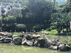-石排湾郊野公园