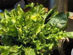 -蓉客成都火锅·招牌麻辣牛杂·特色香辣蹄花(凌水店)