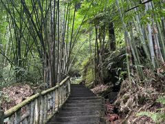 -沐川竹海旅游景区