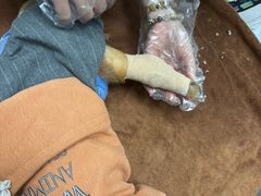 -瑞鹏宠物医院·微创内窥镜·骨外科·牙科(翠竹分院)