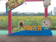 -南京信息职业技术学院