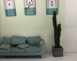 点击看大图 -唯一旅拍·颂当代影像艺术中心(上城店)
