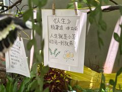 -橡皮书店(翠湖北路店)