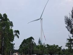 -汕尾风车岛