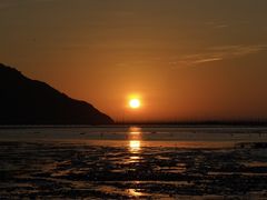 -北岐滩涂