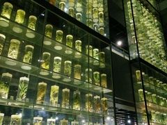 -广东中医药博物馆