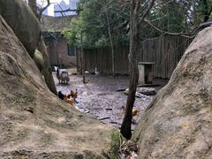 -南昌动物园