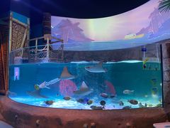 -沈阳海洋探索中心