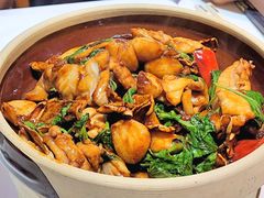 三杯鸡-鼎泰丰(渔阳店)