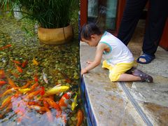 -三亚亚龙湾雅高美爵酒店