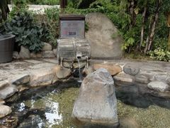 -厦门日月谷温泉渡假村