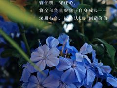 -曼朗心理咨询·旗舰店