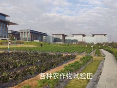 -长洲岛