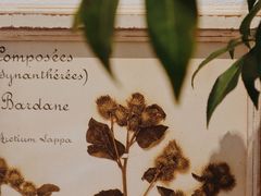 -Cafe Villa