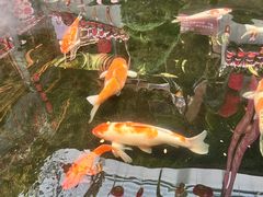 -唐山宴百姓府邸院落中餐