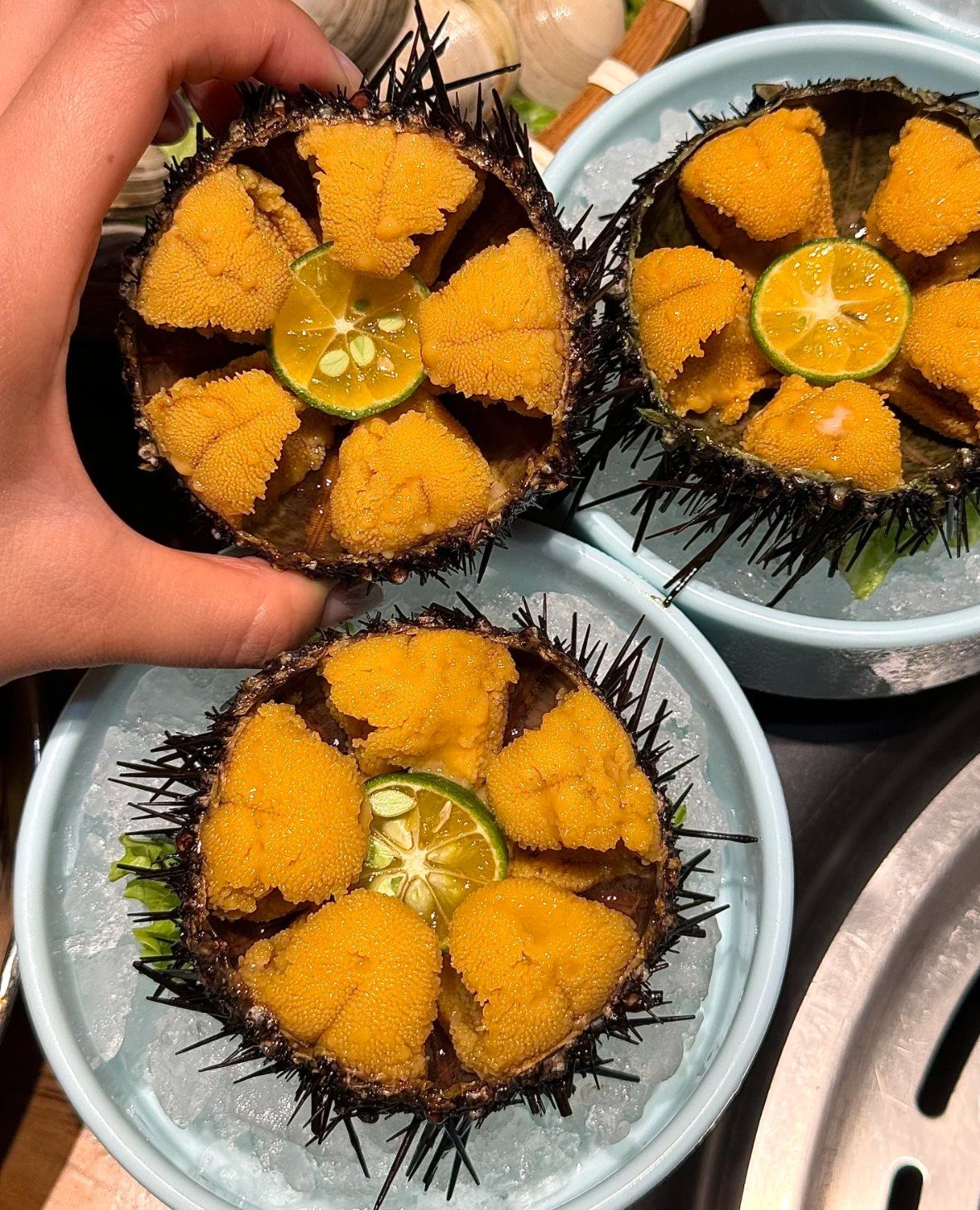 就没有人管管大连这个海胆吗