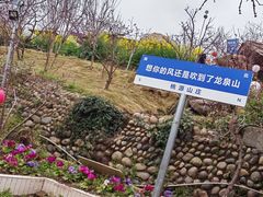 -桃源山庄·水蜜桃采摘·柴火鸡·烧烤团建(龙泉山店)