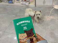 -中农国际动物医院24小时·猫科·骨科·急重症中心