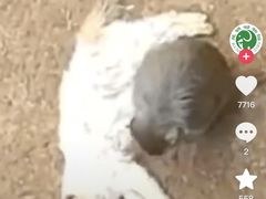 -昆明动物园