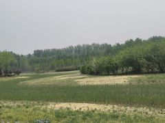 -东郊湿地公园