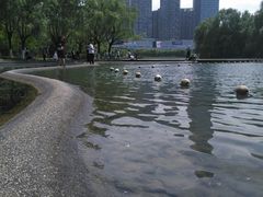 -天鹅湖体育公园