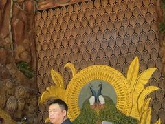 -西双版纳原始森林公园