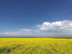 -青海湖国家重点风景名胜区