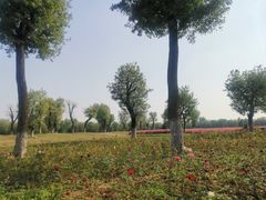 -汉长安城未央宫国家考古遗址公园