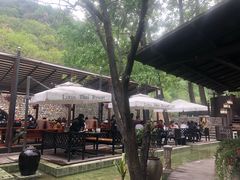 -Local泰莲庭(虹鳟鱼店)